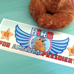 BIRB for AMERICA PRESDIENT Bumper Stickers THIS TIME WITH PHOGRATAPH